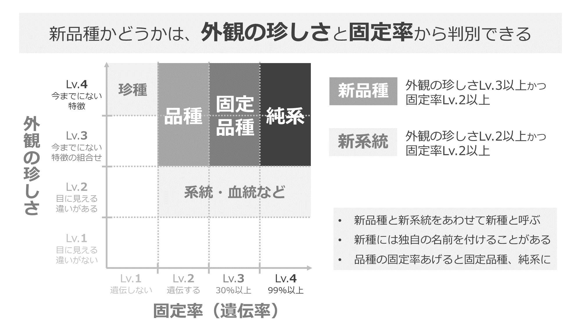 改良メダカの基礎用語まとめ 品種 飼育編 メダカ用語 改良メダカweb図鑑