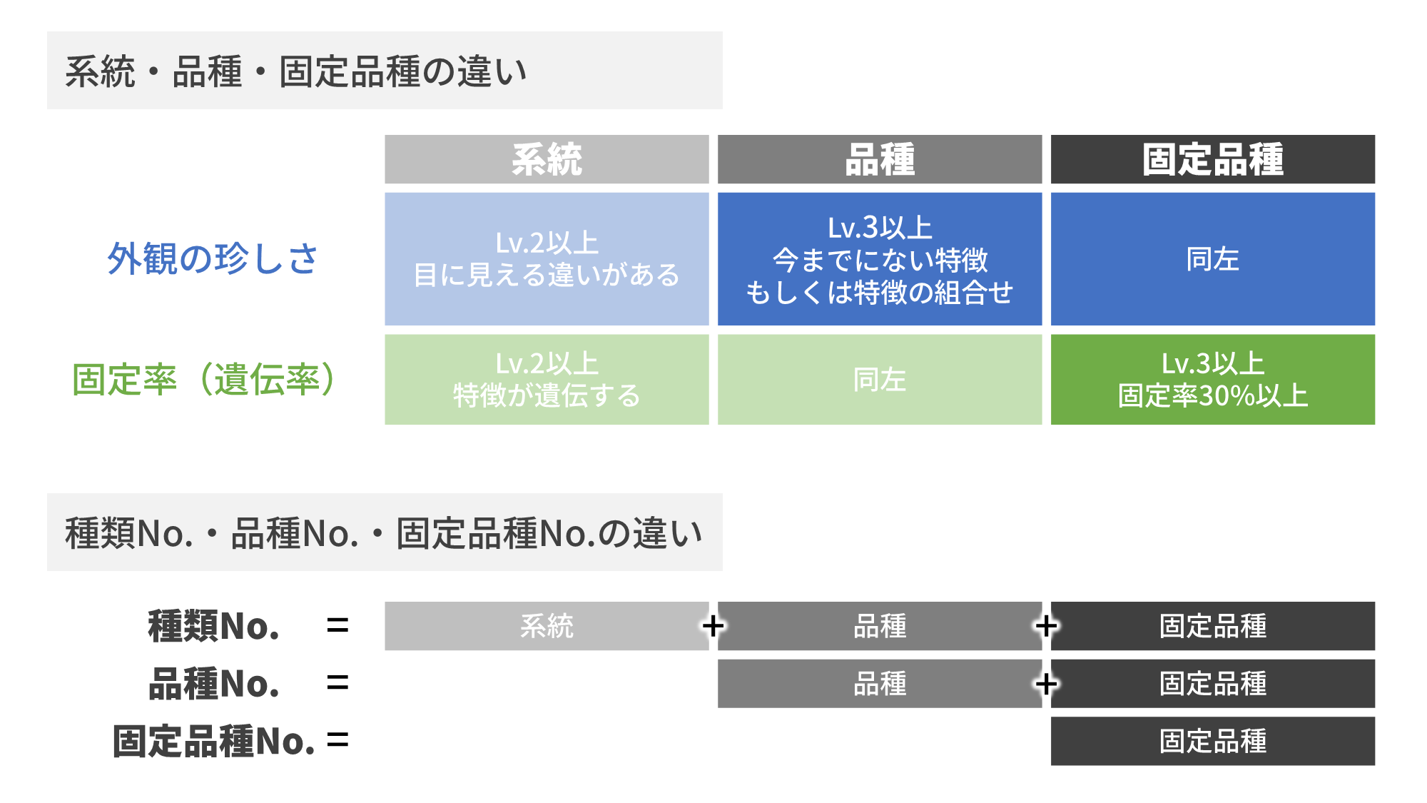 改良メダカの品種検索ページ 改良メダカweb図鑑